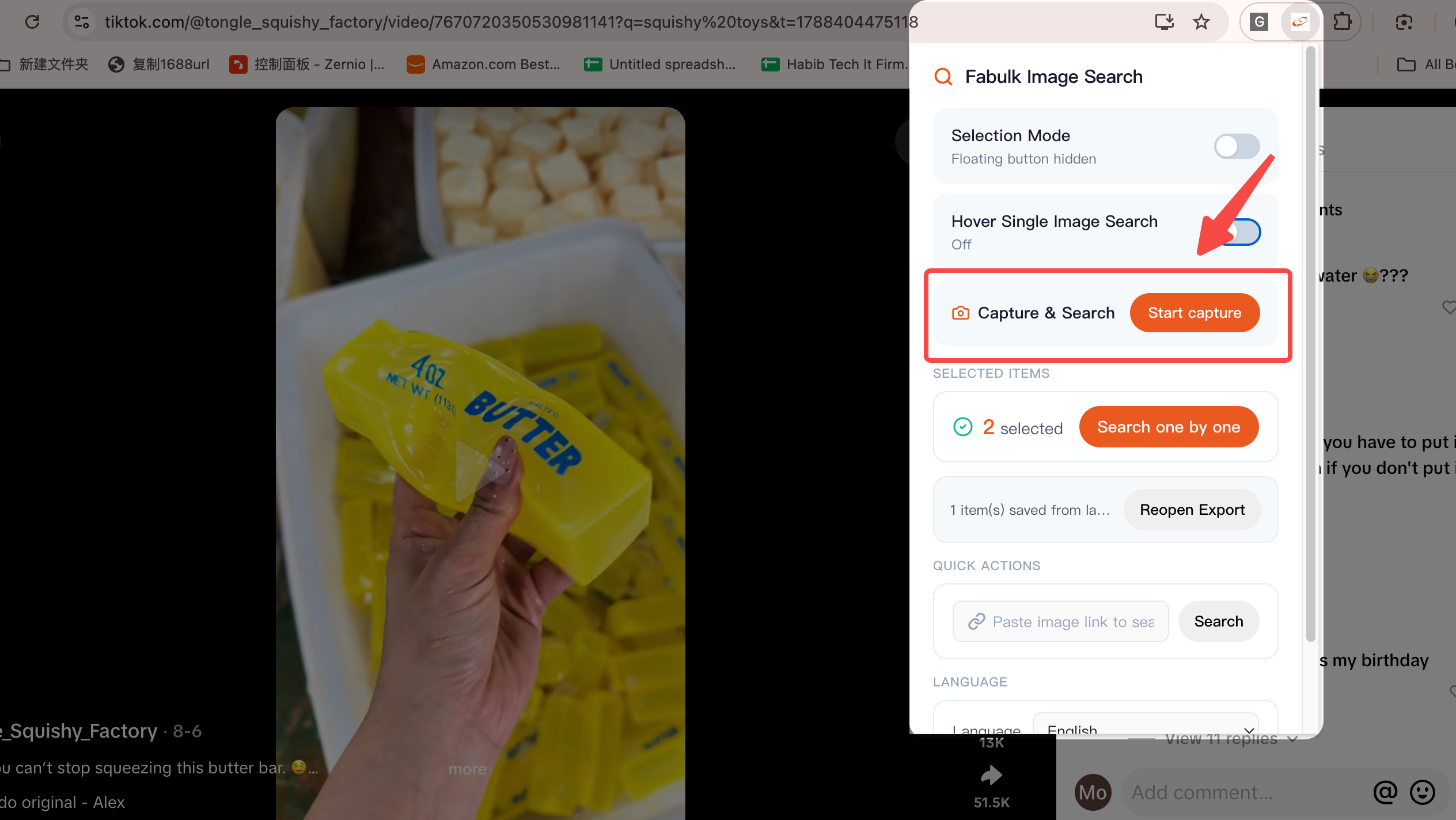 Clicking start capture in the fabulk screenshot image search mode